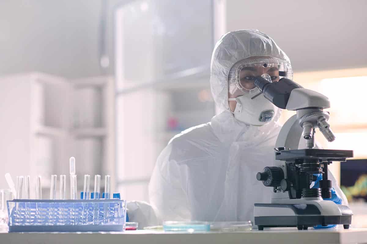 investigación virus